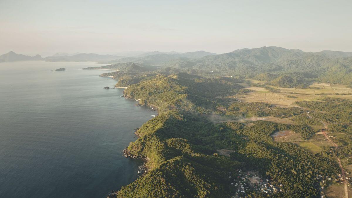 Aboitiz's Environmental Programs in the Philippines