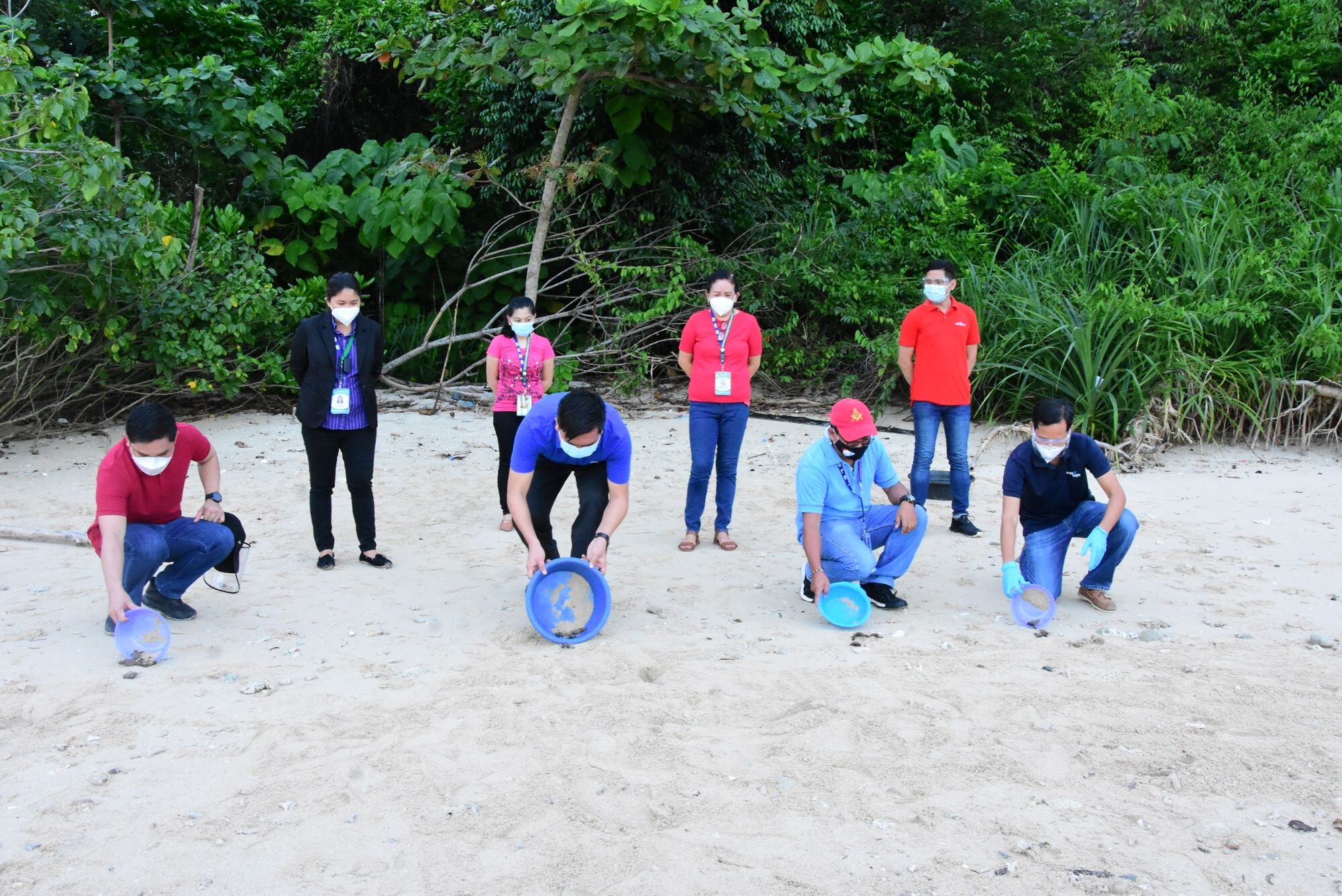 More Batches Of Pawikan Hatchlings Released At Cleanergy Park