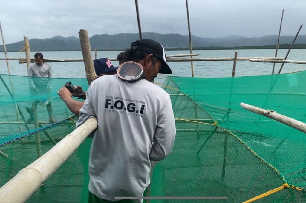 Uplifting lives through bangus farming in Pagbilao Grande Island