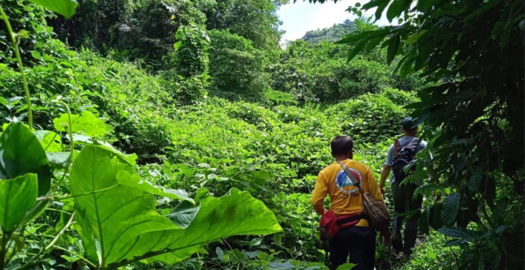 ABOITIZ CONSTRUCTION ADOPTS 1.6 HECTARES OF NAPOCOR’S TREE PLANTING SITE