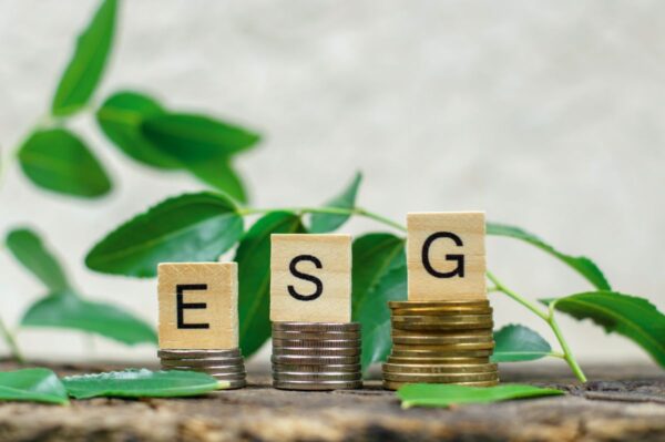 5 Ways ESG Reports Create Value For Businesses